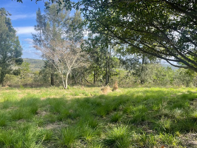 3 Bedroom Property for Sale in Summerpride Eastern Cape